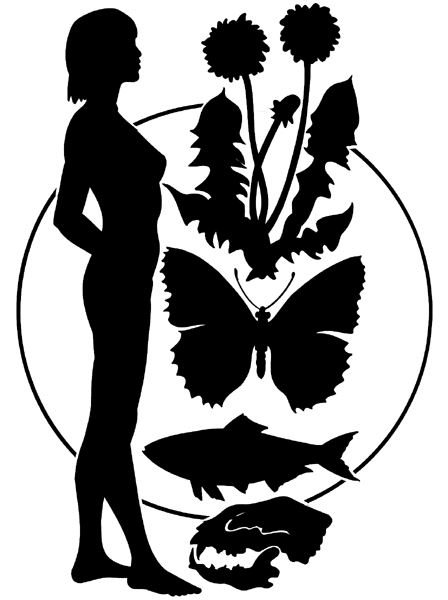 Nude lady silhouette vinyl sticker. Customize on line.      Biology Research Development 010-0069  